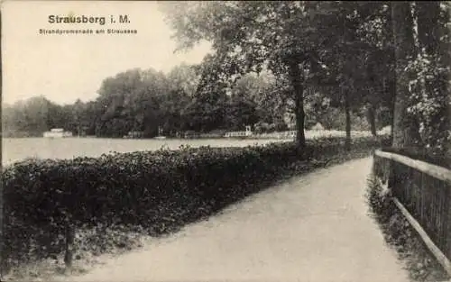 Ak Strausberg in der Mark, Strandpromenade, Straussee