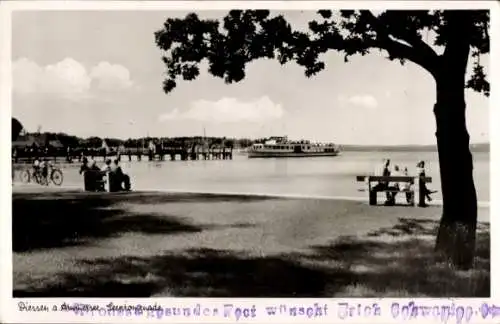 Ak Dießen am Ammersee Oberbayern, Seepromenade