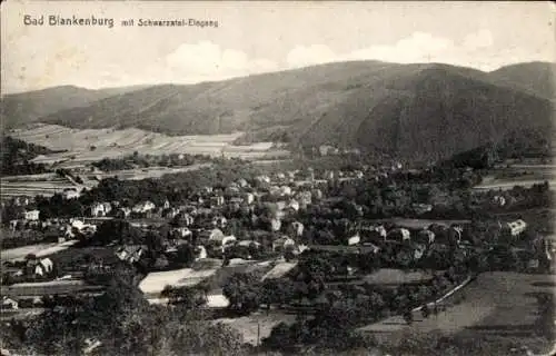 Ak Bad Blankenburg in Thüringen, Panorama, Schwarzatal Eingang