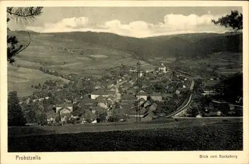 Ak Probstzella in Thüringen, Panorama, Blick vom Bocksberg