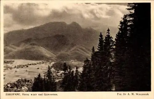 Ak Zakopane Polen, Panorama