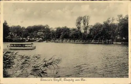 Ak Tornow Teupitz in der Mark, Seeblick, Fähre, Tornow´s Idyll