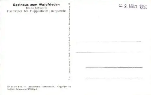 Ak Heppenheim an der Bergstraße, Fliegeraufnahme, Gasthaus zum Waldfrieden