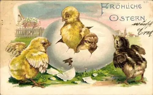 Litho Glückwunsch Ostern, Küken schlüpfen aus dem Ei