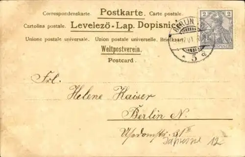 Präge Ak Glückwunsch Neujahr, Jahreszahl 1902 aus Veilchen