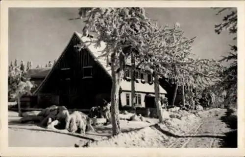 Ak Seiffen im Erzgebirge, Winterlandschaft mit Haus