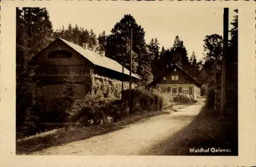 Ak Gelenau im Erzgebirge, Waldhof