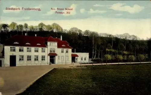 Ak Frankenberg in Sachsen, Stadtpark