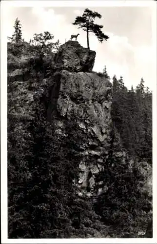 Ak Breitnau im Schwarzwald, Höllental, Hirschsprungfelsen