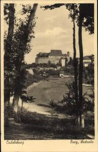 Ak Cadolzburg in Mittelfranken, Burg, Westseite