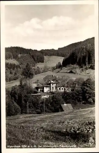 Ak Alpersbach Hinterzarten im Schwarzwald, Panorama