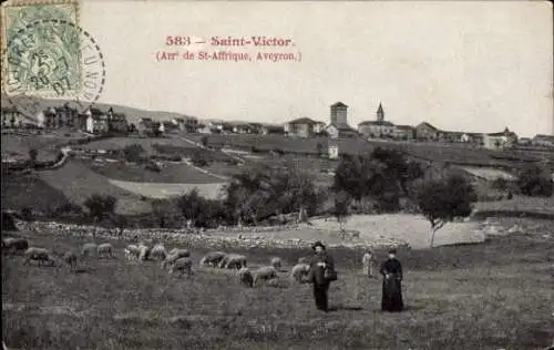 Ak Saint Affrique Aveyron, Saint-Victor, Schafherde