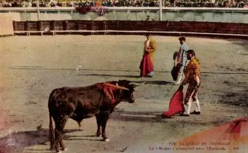 Ak Corrida de toros, Stierkampfszene, Muleta preparatif pour Estocade