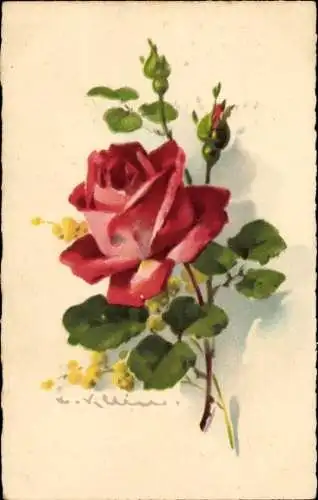 Künstler Ak Klein, Catharina, Rote Rose