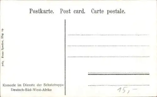 Ak Namibia Deutsch Südwest Afrika, Kamele im Dienste der Schutztruppe