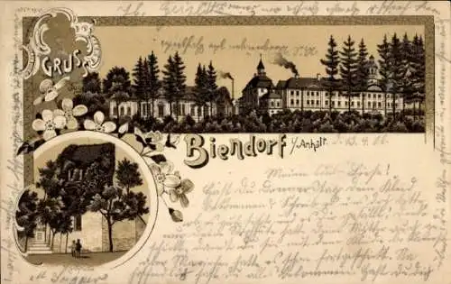 Litho Biendorf Bernburg an der Saale, Schloss, Kirchruine