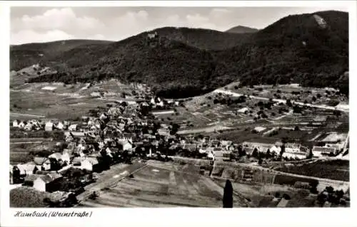 Ak Hambach Neustadt an der Weinstraße, Fliegeraufnahme