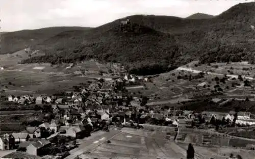 Ak Hambach Neustadt an der Weinstraße, Fliegeraufnahme