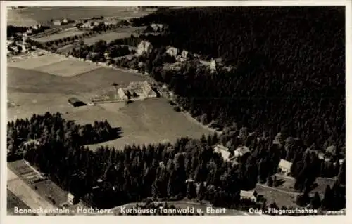 Ak Benneckenstein Oberharz am Brocken, Fliegeraufnahme, Kurhäuser Tannwald und Ebert