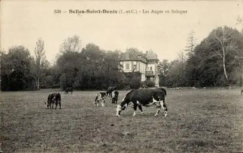 Ak Selles Saint Denis Loir et Cher, Anges en Sologne