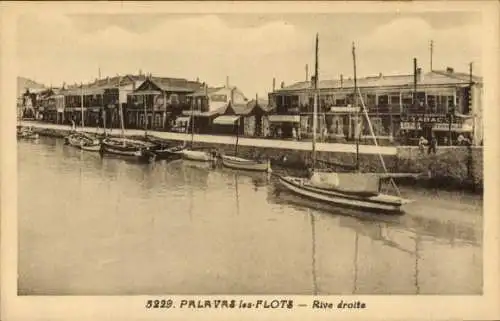 Ak Palavas les Flots Hérault, Rechtes Ufer