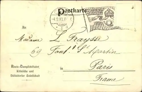 Künstler Ak Salondampfer auf dem Rhein