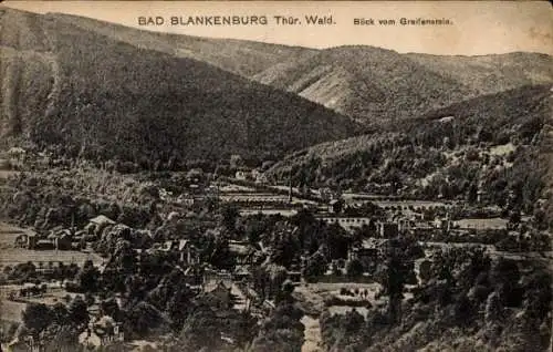 Ak Bad Blankenburg in Thüringen, Panorama, Blick vom Greifenstein