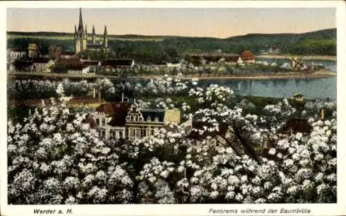 Ak Werder an der Havel in Brandenburg, Panorama während der Baumblüte