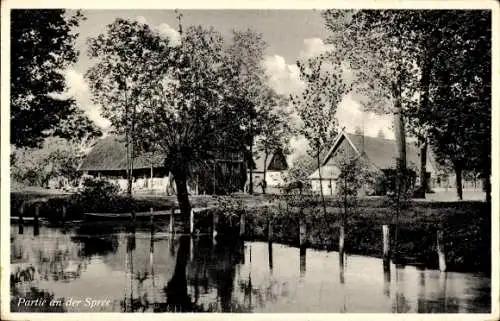 Ak Burg im Spreewald, Häuser am Wasser