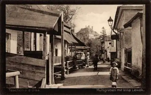 Ak Cieszyn Teschen an der Olsa Oberschlesien, Mühlgraben, Villa Lewak