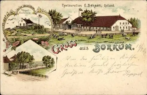 Litho Nordseebad Borkum in Ostfriesland, Vogelkolonie, Restaurant