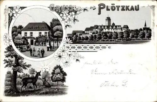 Litho Plötzkau in Sachsen Anhalt, Schloss, Gasthaus zur Laube