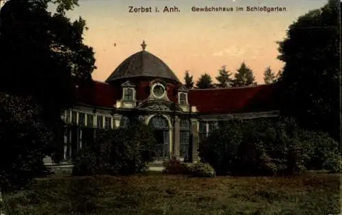 Ak Zerbst in Anhalt, Gewächshaus, Schlossgarten