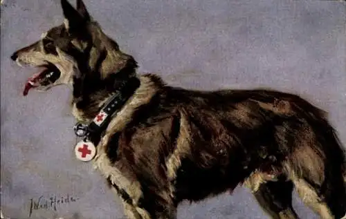 Künstler Ak v. d. Heide, J. W., Sanitätshund, Deutscher Schäferhund