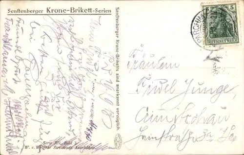 Künstler Ak v. Wright, W., Streitende Auerhähne