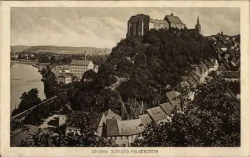 Ak Leisnig in Sachsen, Schloss Mildenstein