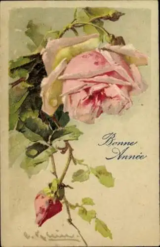 Künstler Litho Klein, Catharina, rosa Rose mit Knospe