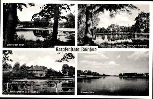 Ak Reinfeld in Holstein, Schwarzer Teich, Neuhöfer Teich mit Rathaus, Schlossgraben u. alte Schule