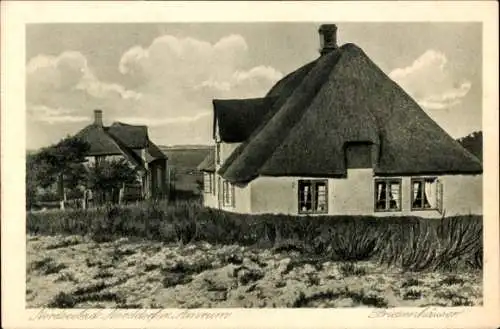 Ak Norddorf Insel Amrum,  Friesenhäuser, Reetdachhäuser