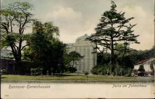 Ak Herrenhausen Hannover in Niedersachsen, Palmenhaus