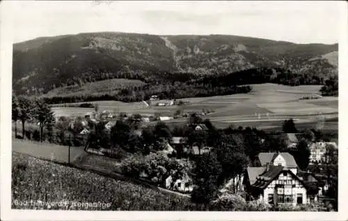 Ak Bad Liebenwerda in Brandenburg, Panorama