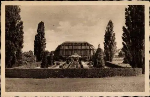 Ak Berlin Zehlendorf Dahlem, Botanischer Garten, Italienischer Garten mit Schauhäusern