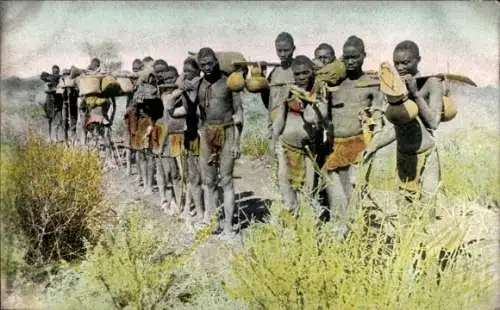 Ak Deutsch Südwest Afrika, Ovambo auf der Reise