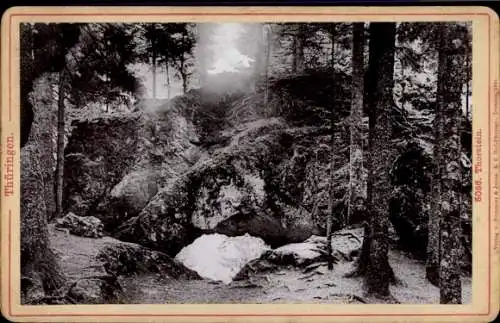 Hartfoto Tabarz im Thüringer Wald, Torstein