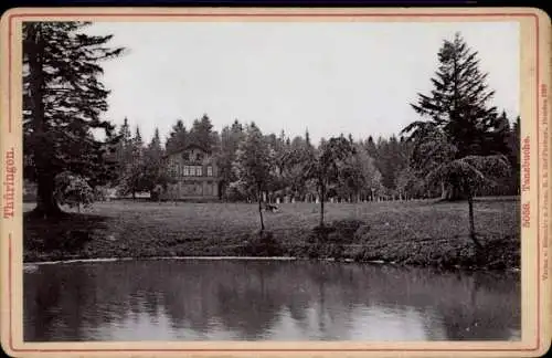 Hartfoto Friedrichroda im Thüringer Wald, Tanzbuche