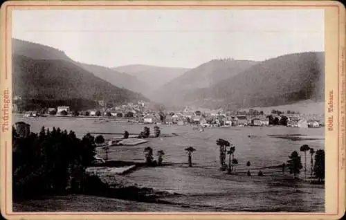 Hartfoto Tabarz im Thüringer Wald, Panorama