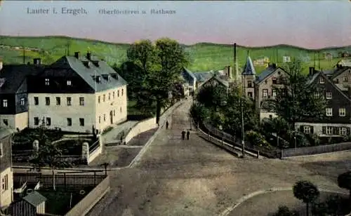 Ak Lauter Bernsbach im Erzgebirge Sachsen, Oberförsterei und Rathaus