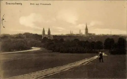 Ak Braunschweig in Niedersachsen, Blick vom Prinzenpark