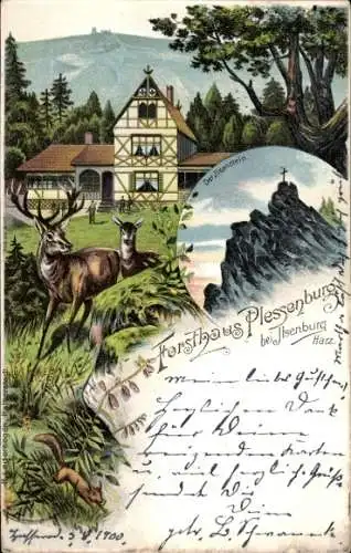 Litho Plessenburg Ilsenburg am Nordharz, Forsthaus Plessenburg, Ilsenstein, Brocken, Hirsch