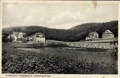 Ak Steinbergen Rinteln an der Weser, Villen